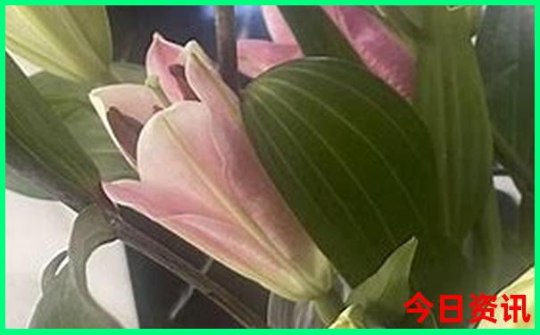福鼎有什么好玩的景点